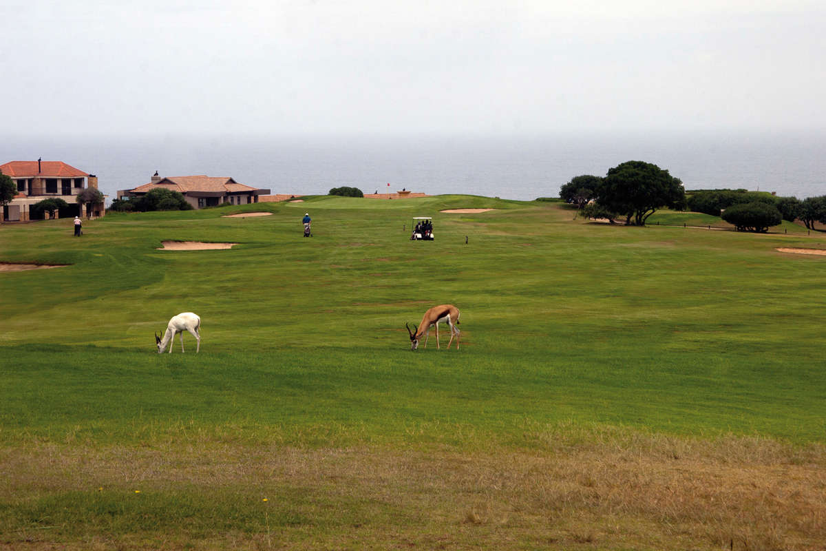Mossel Bay Golf Club Holidays